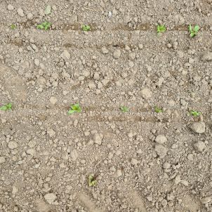 Foto soil sand